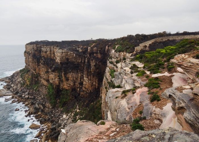 In October 2020, AWC was called in to rescue wildlife, create shelter and assess the impact to the headland after a NSW National Parks and Wildlife Service hazard reduction burn jumped containment lines.