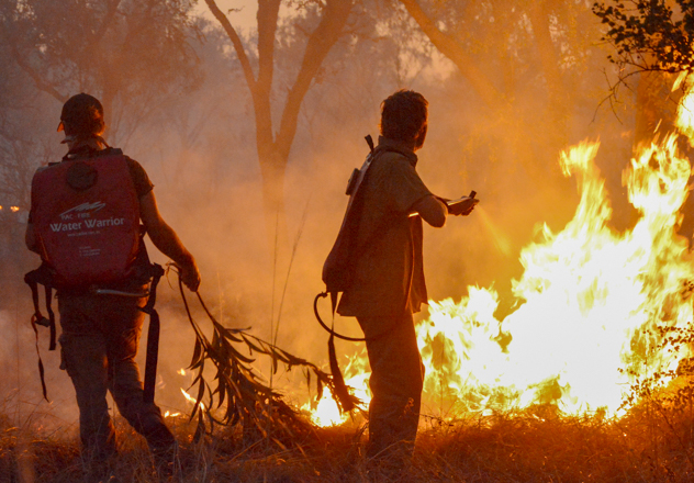 Ecofire Research Into Effects Of Fire On Mammal Survival, Mornington Wildlife Sanctuary