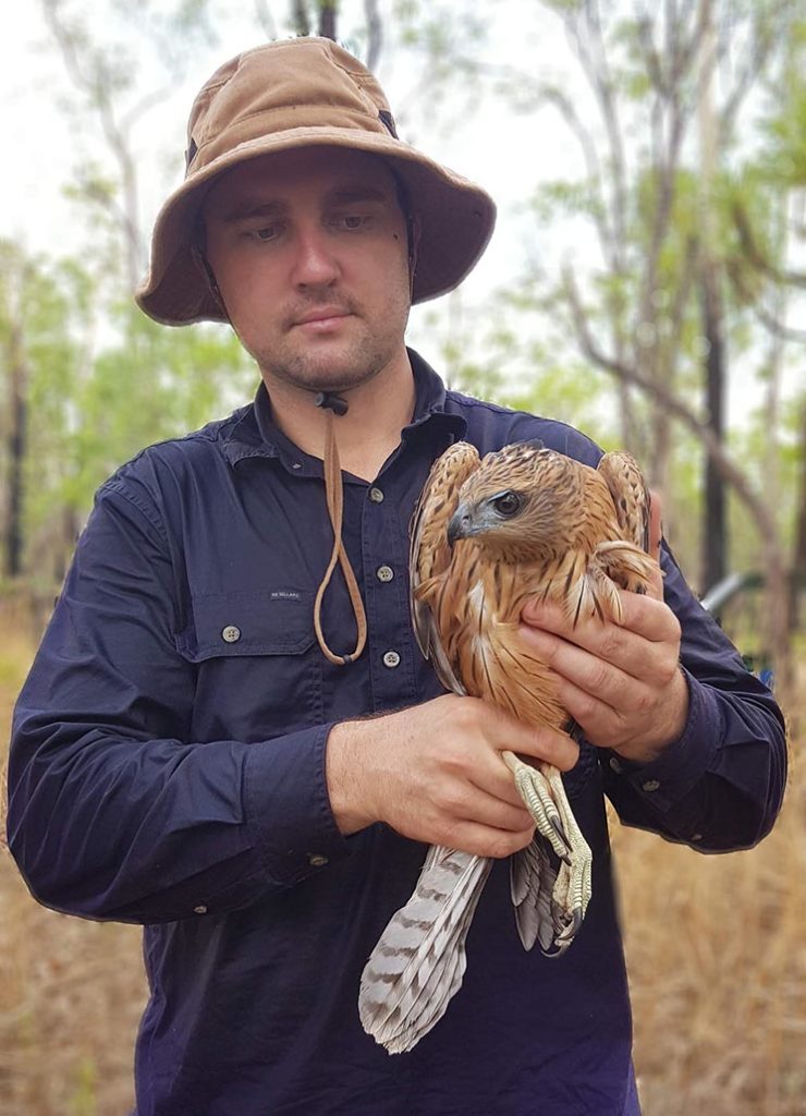 Chris Maccoll Holding A Juvenile Male Red Goshawk, Only The Third Live Male Ever Held Credit Richard Seaton