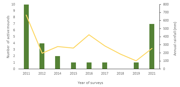 The graph shows active Malleefowl mounds recorded by NSW National Parks and Wildlife Services since 2011 at Mallee Cliffs, with the highest number in a decade recorded in 2021.