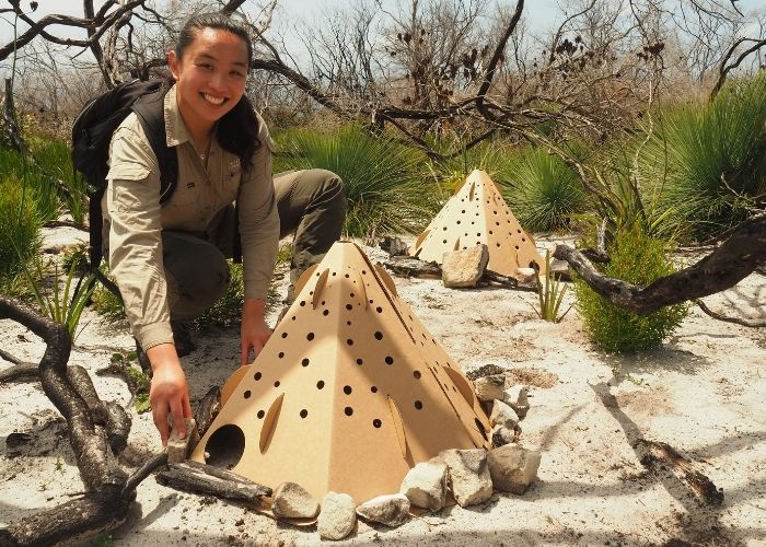 Launched at North Head Sanctuary in Manly is the world's first biodegradable shelter that can be rapidly installed to provide refuge for native animals left exposed and vulnerable after a bushfire.