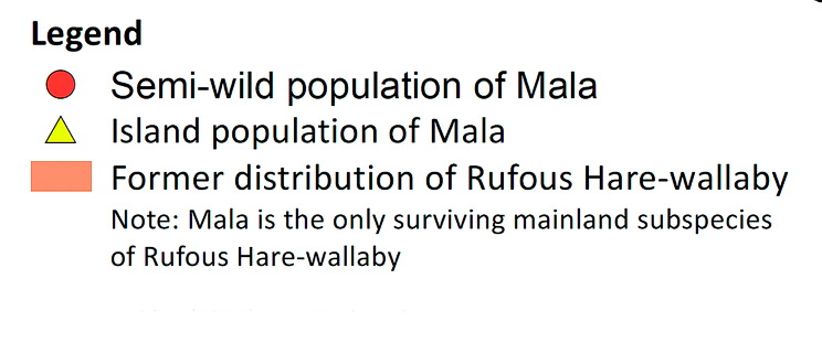 Current distribution of Mala