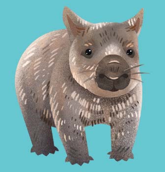 Nhn Wombat Illustration Blue