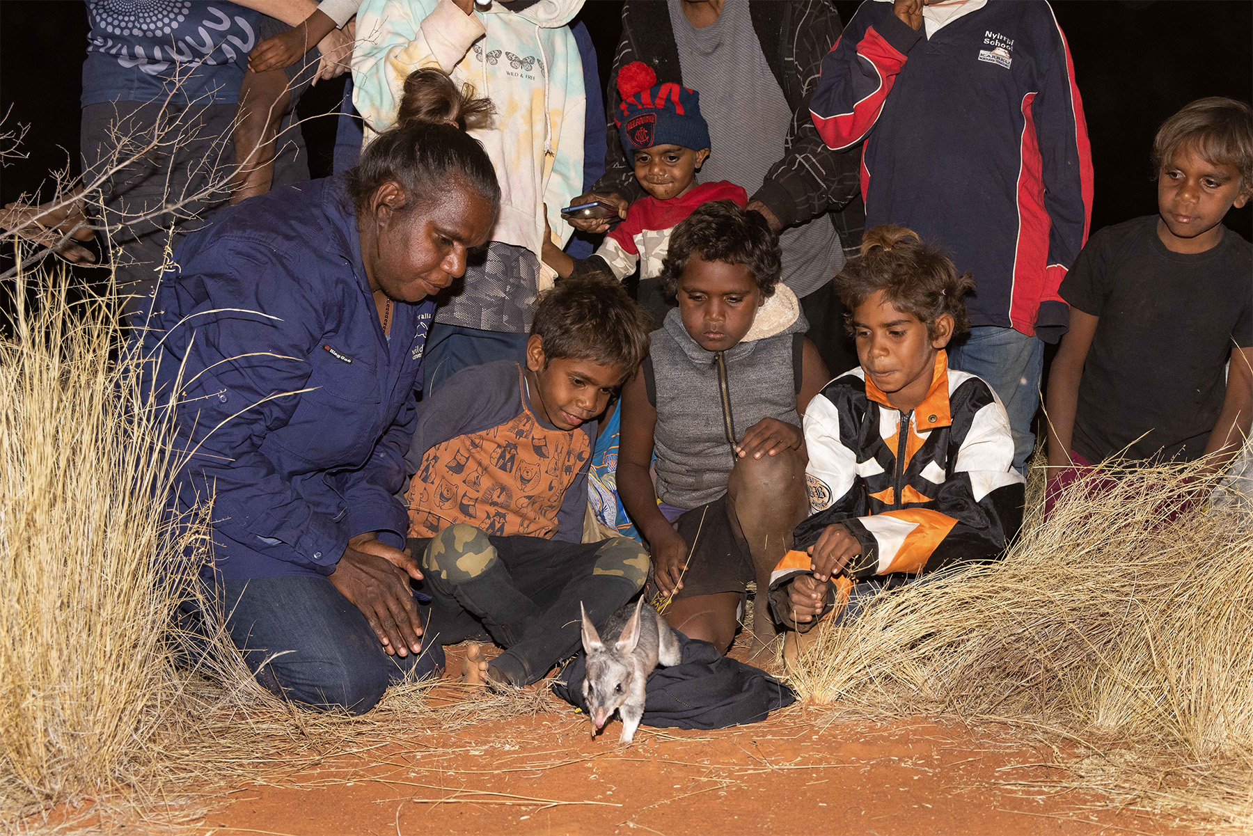 Bilby release at Newhaven with local community