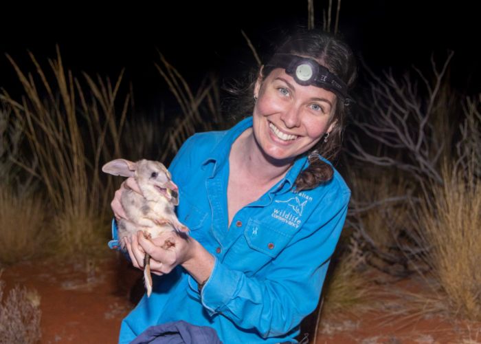 A new population established at Newhaven Wildlife Sanctuary in 2022 contributed to the increase in AWC’s overall Bilby population. Pictured: Aliesha Dodson, AWC Field Ecologist, releasing a Bilby into the sanctuary. 