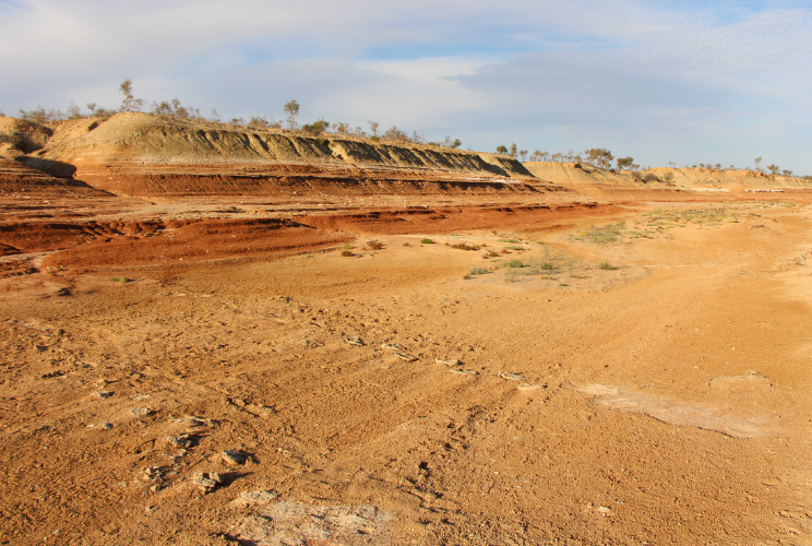 A preserved trackway records the footprints of Diprotodon in the Warburton River at Kalamurina. 
