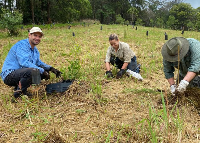 Andy Howe, AWC Senior Field Ecologist with David Walker, Managing Director of Pacific BioLogics and Melissa Kooy from Lone Pine Koala Sanctuary planting seedlings at Curramore Wildlife Sanctuary. 